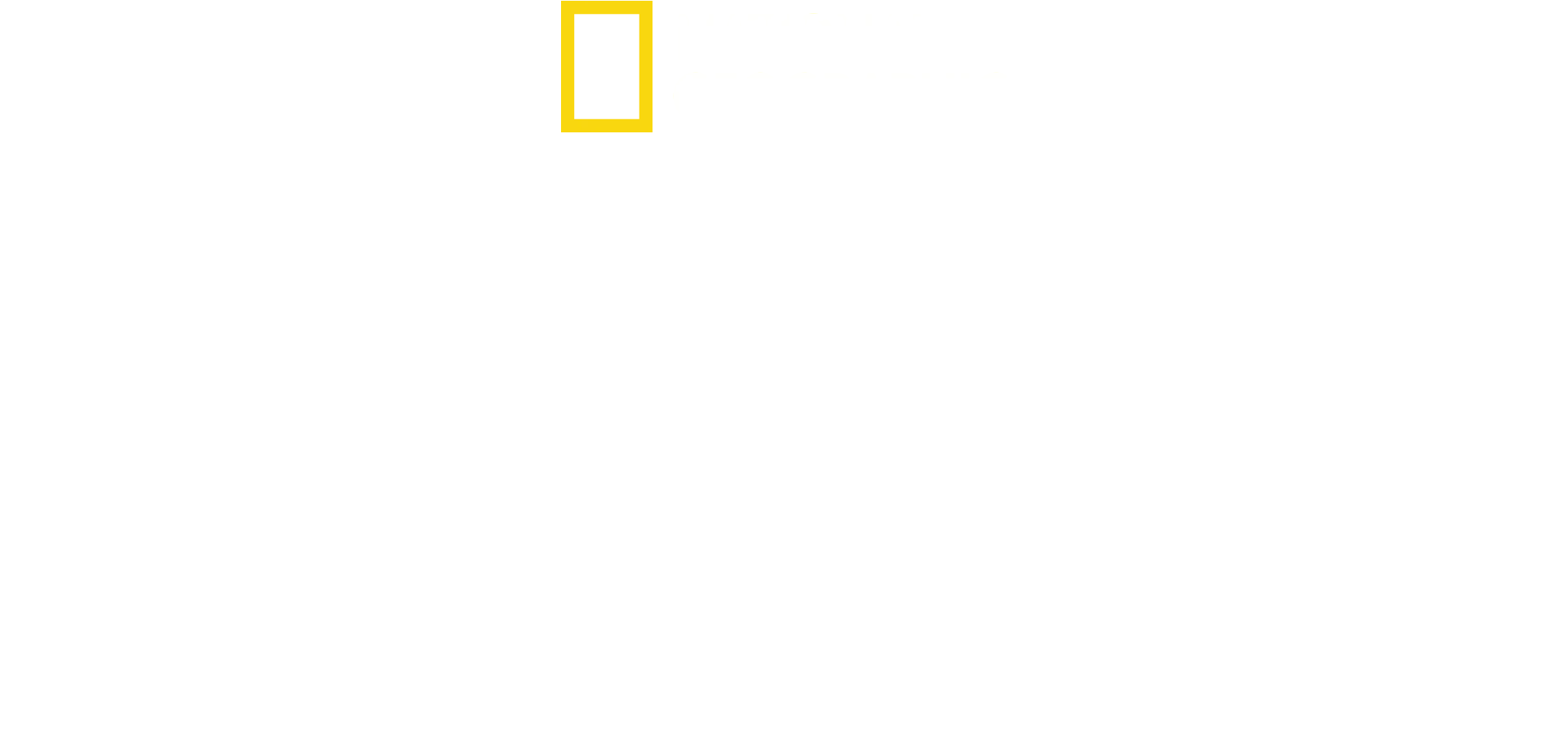 Nazistenes byggverk