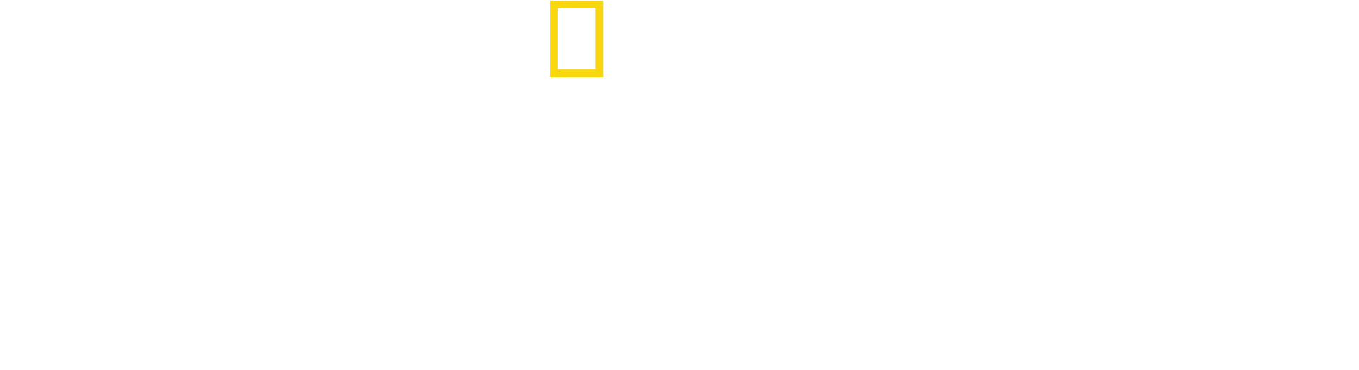 Natsien jättimäiset rakennusurakat