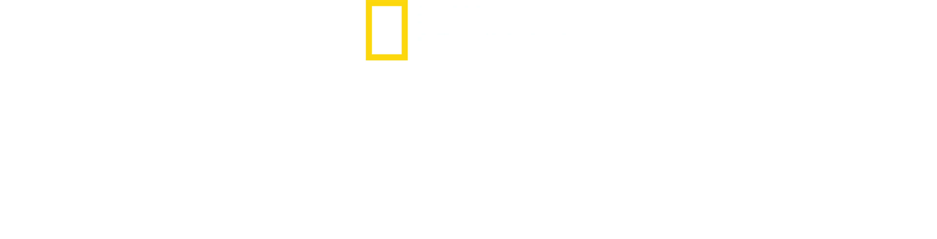 A Harmadik Birodalom építményei