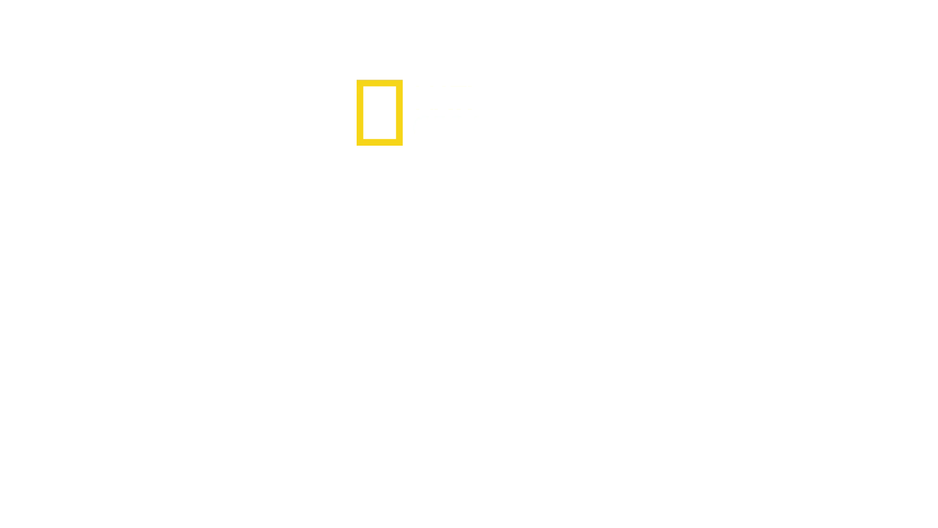 Nazisternas megabyggen