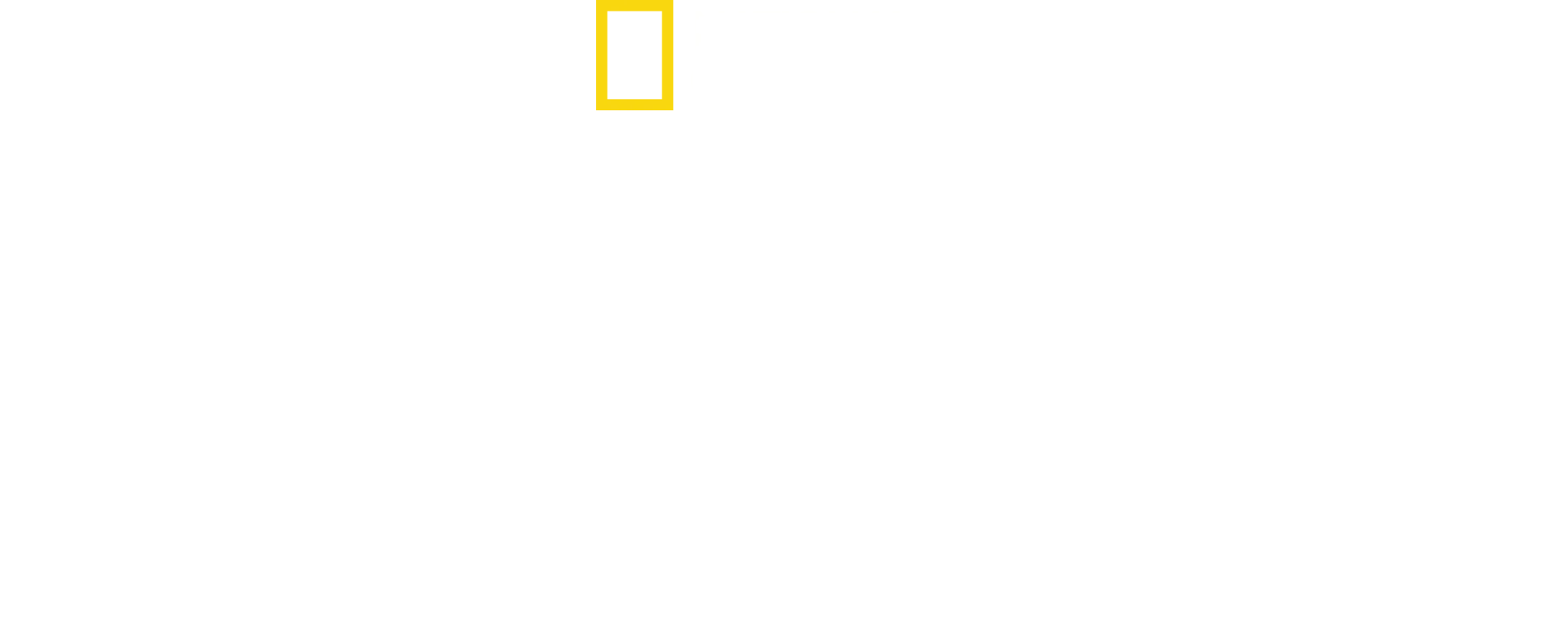 Nazisternas megabyggen