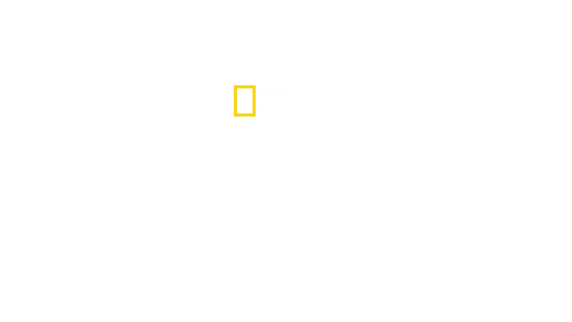 Nazi Megakonstuktioner