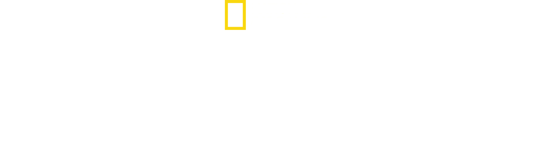 Nazi Megakonstuktioner