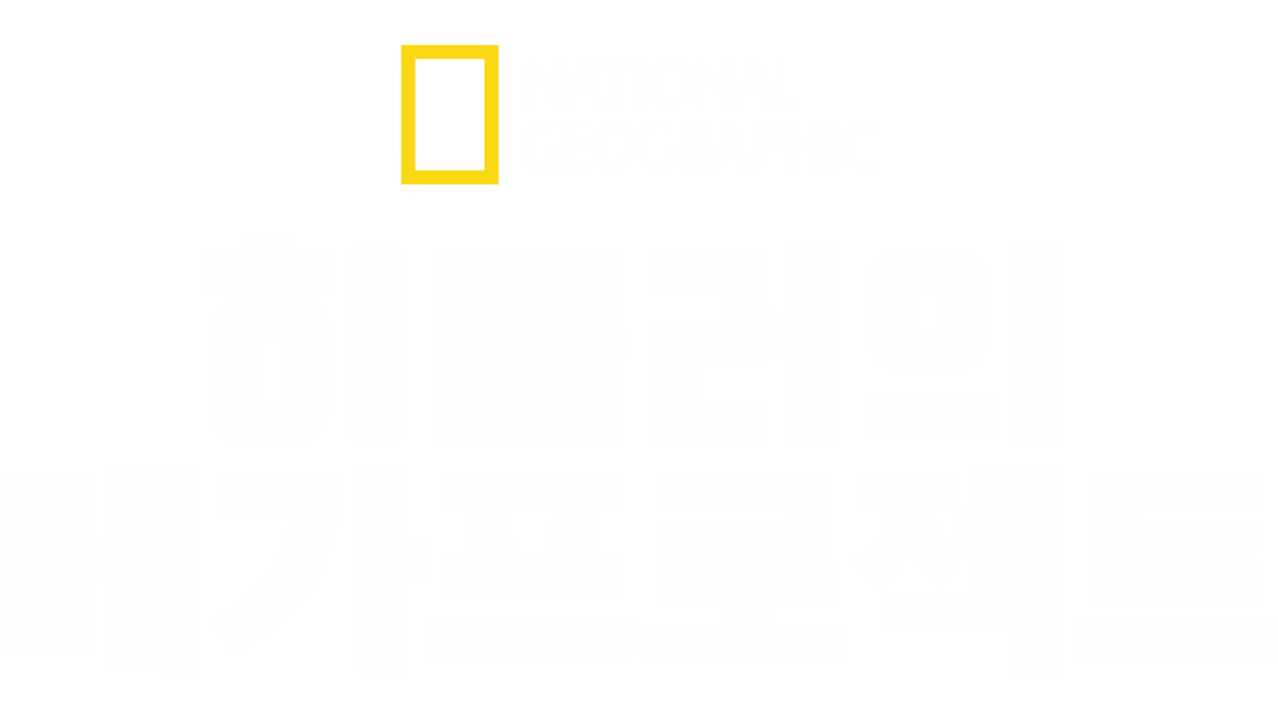 히틀러의 메가프로젝트