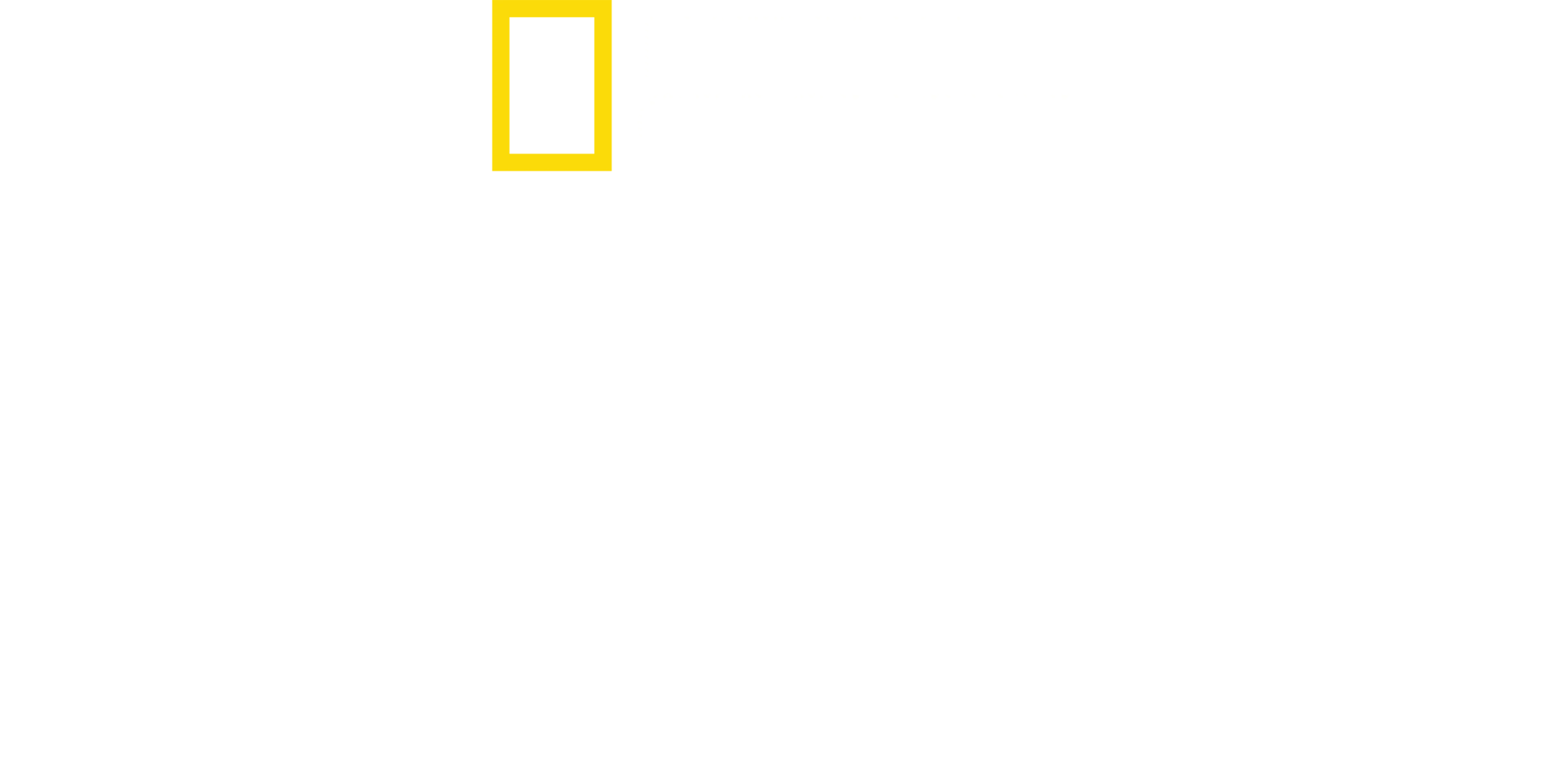 히틀러의 메가프로젝트