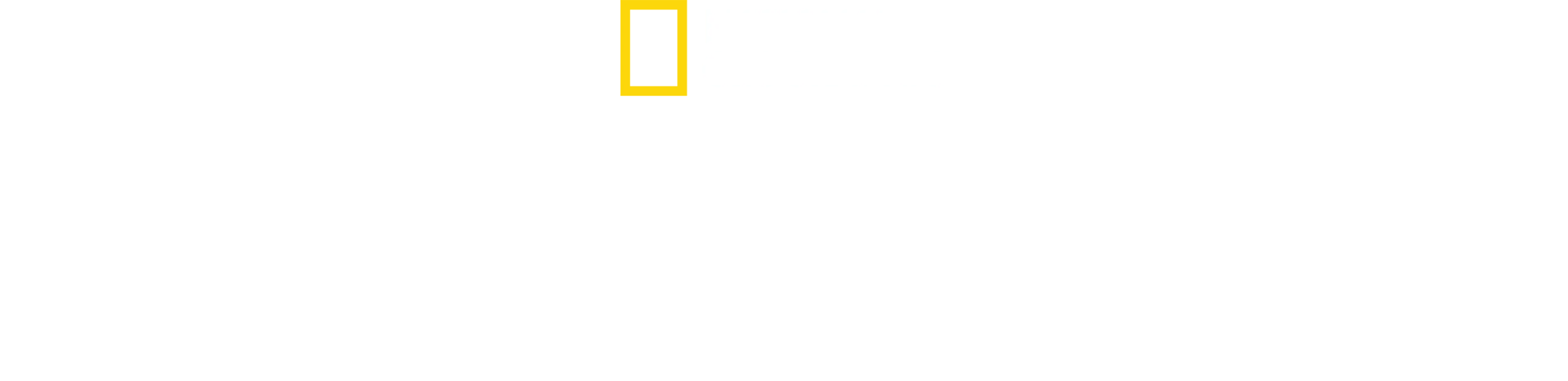 Wielki konstrukcje III Rzeszy