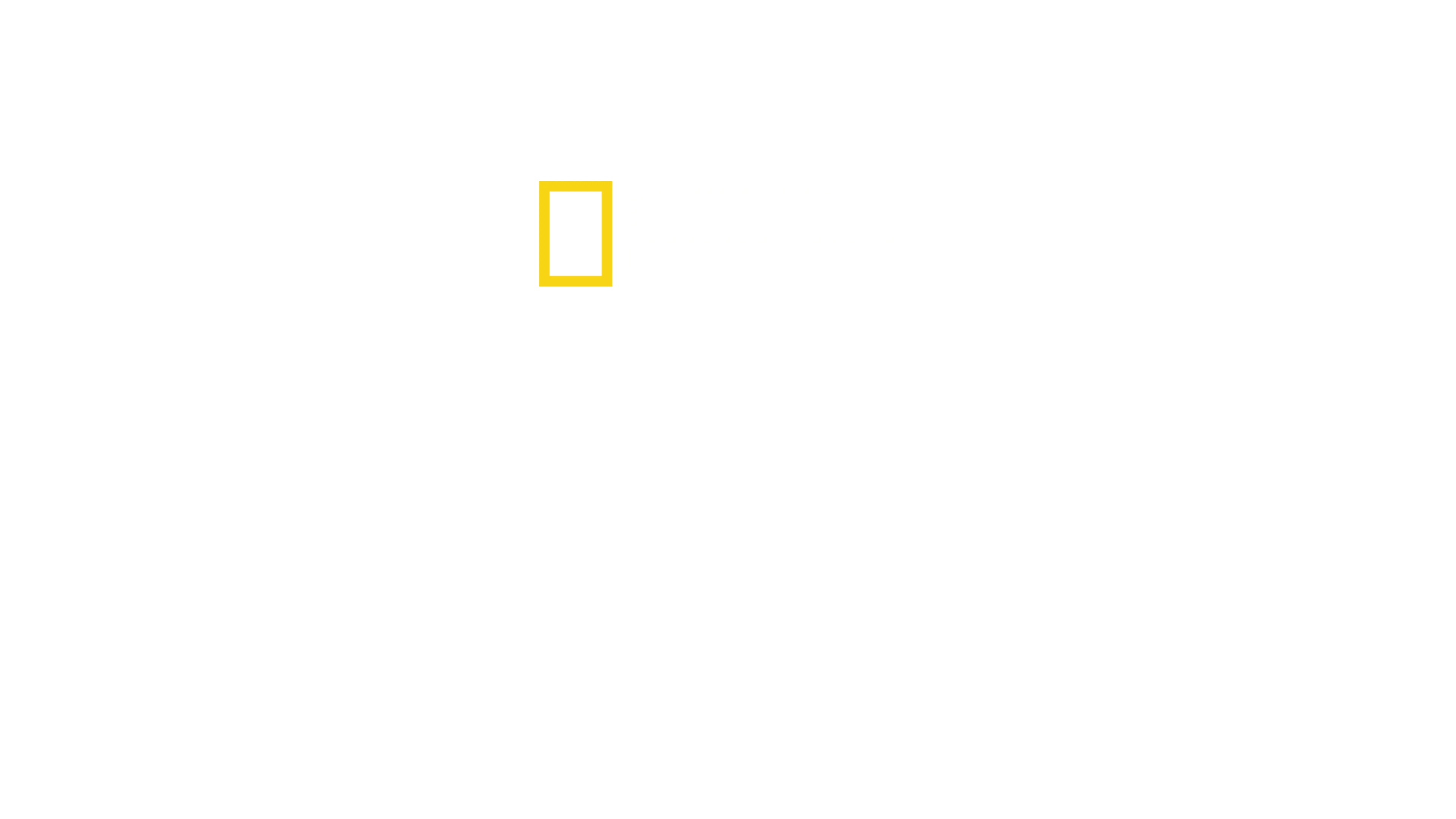 Megastructuri naziste