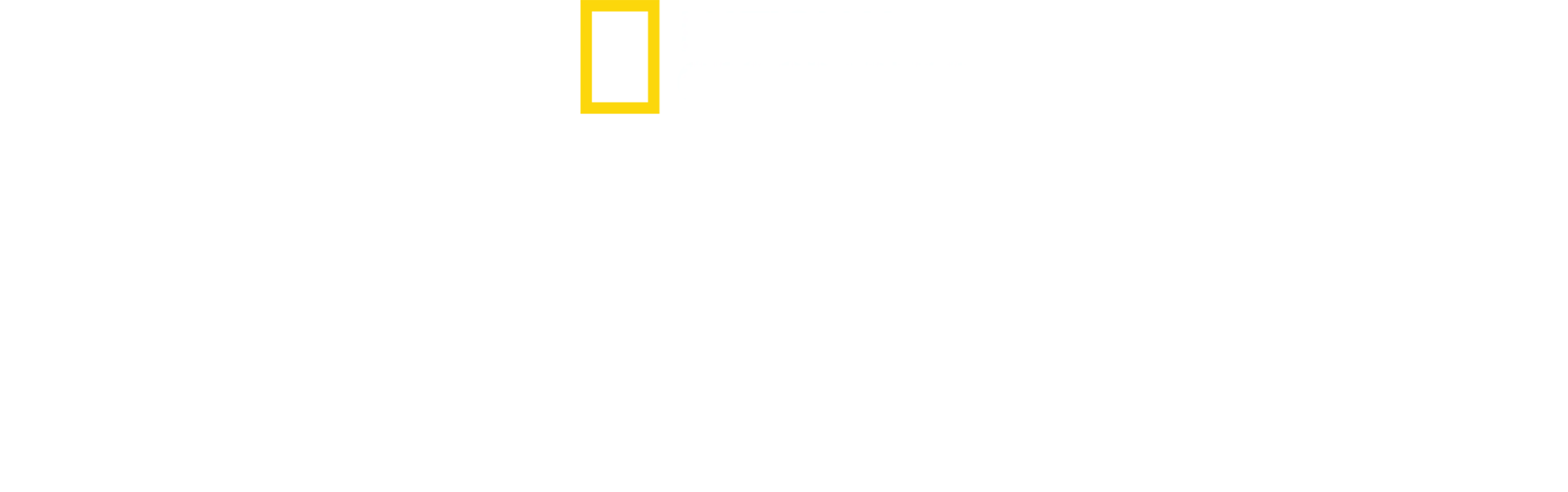 Megastructuri naziste