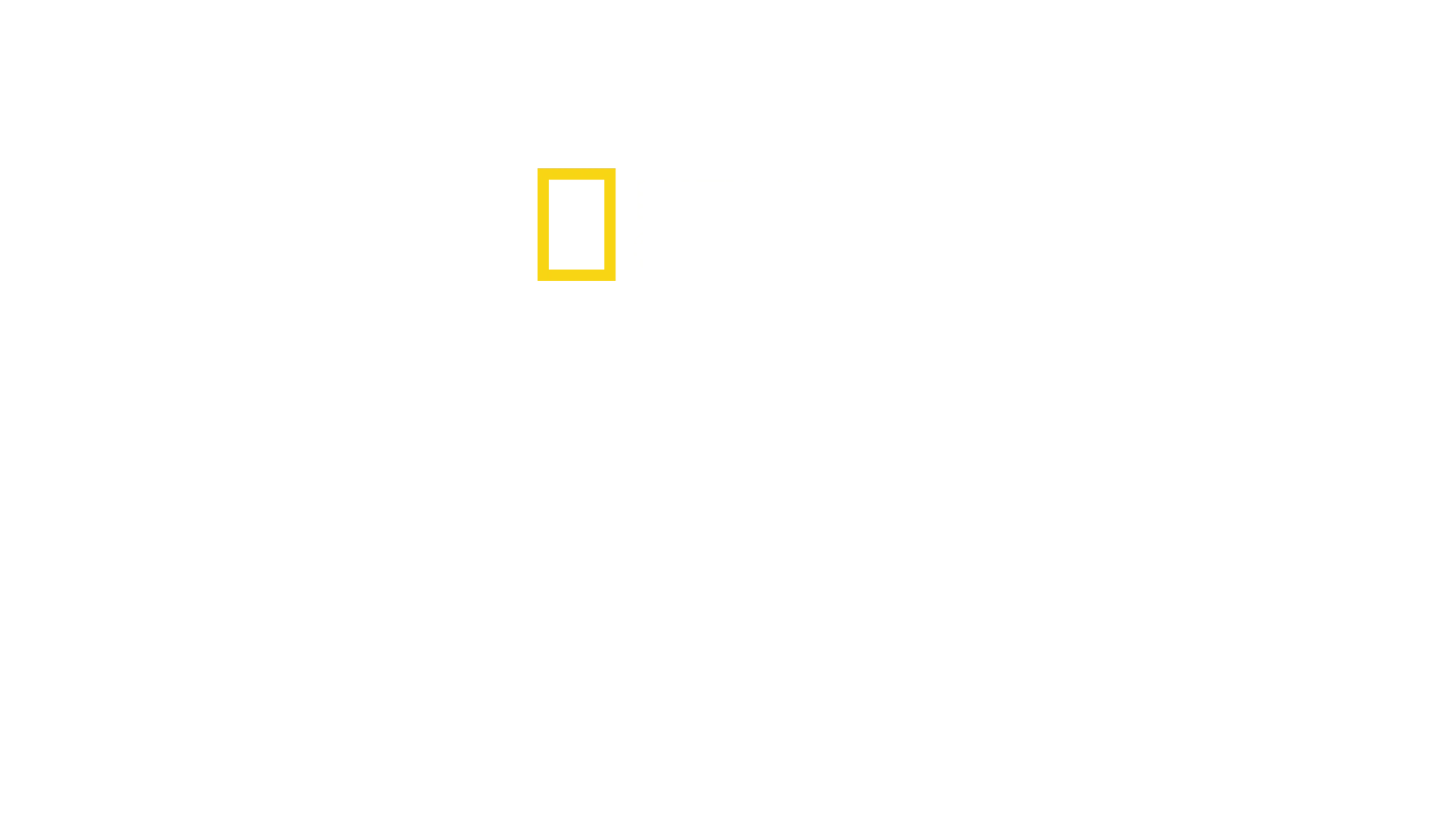 Nazi Mega Yapıları: Amerika'nın Savaşı