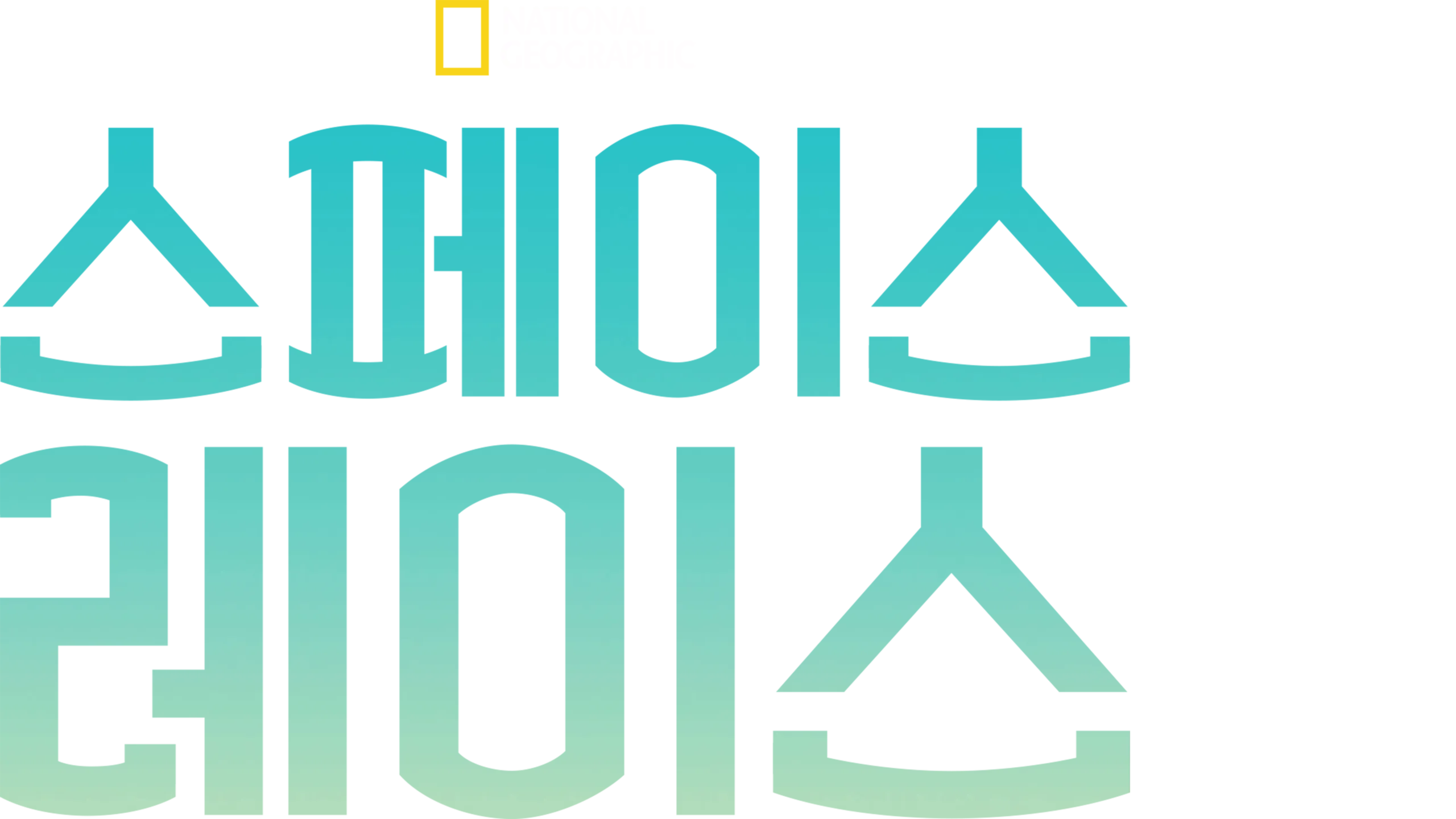 스페이스 레이스