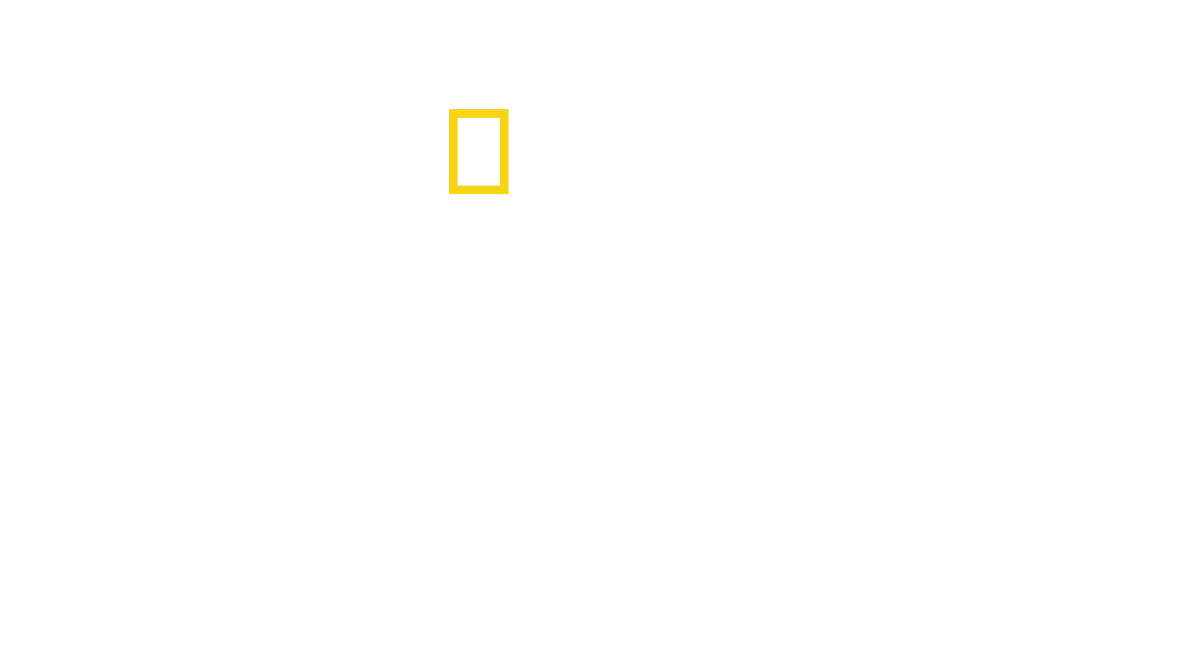 Zabezpečení přístavu: Hamburg