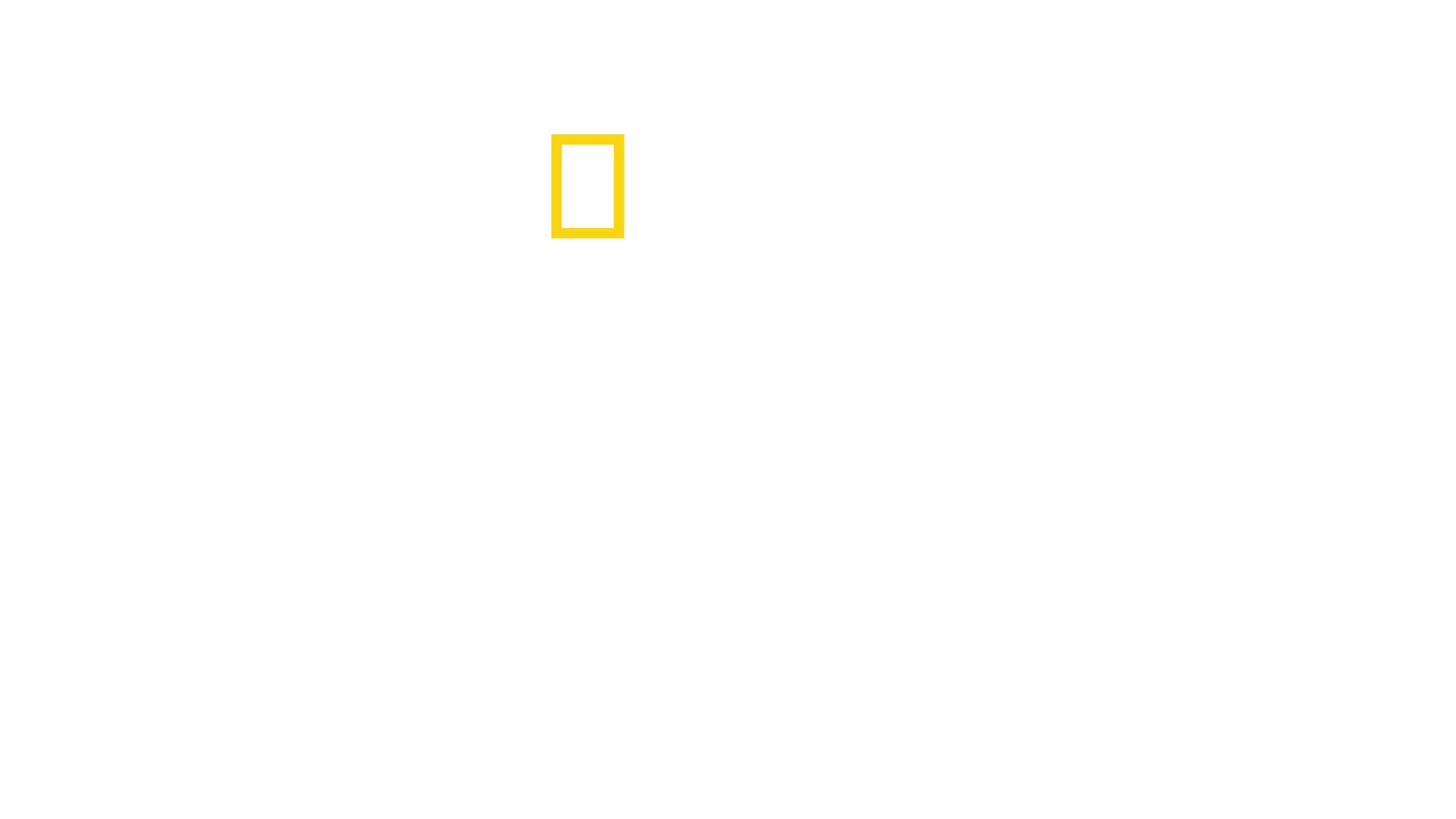 Securitatea portului: Hamburg