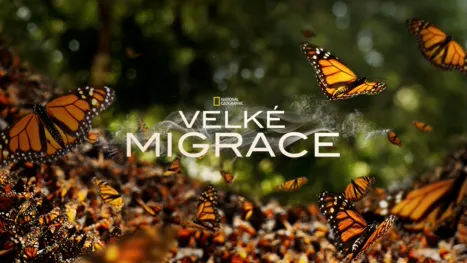 thumbnail - Velké migrace