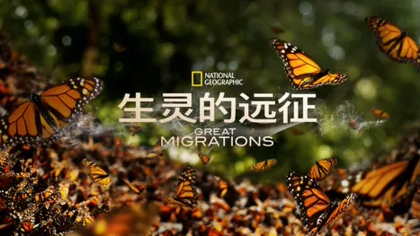 thumbnail - 生灵的远征