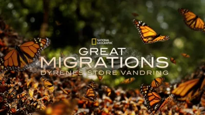 Great Migrations