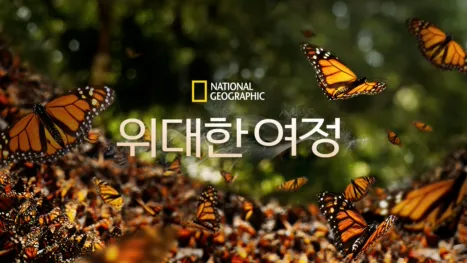 thumbnail - 위대한 여정