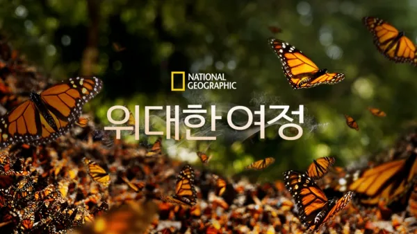 thumbnail - 위대한 여정