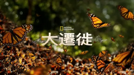 thumbnail - 大遷徙