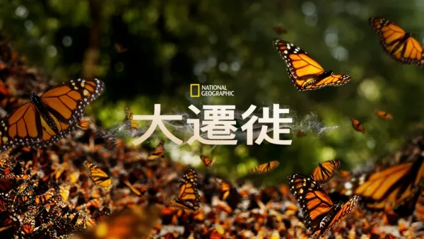 thumbnail - 大遷徙