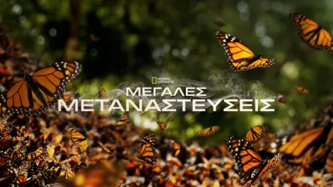 thumbnail - Μεγάλες Μεταναστεύσεις