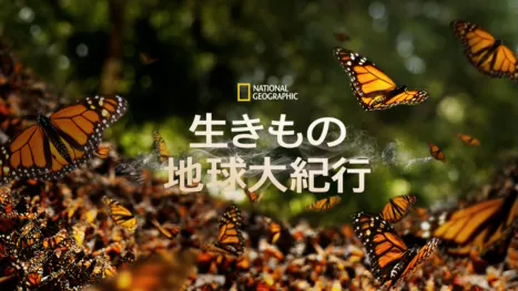 thumbnail - 生きもの地球大紀行