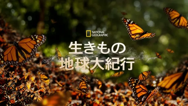 thumbnail - 生きもの地球大紀行