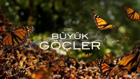 thumbnail - Büyük Göçler