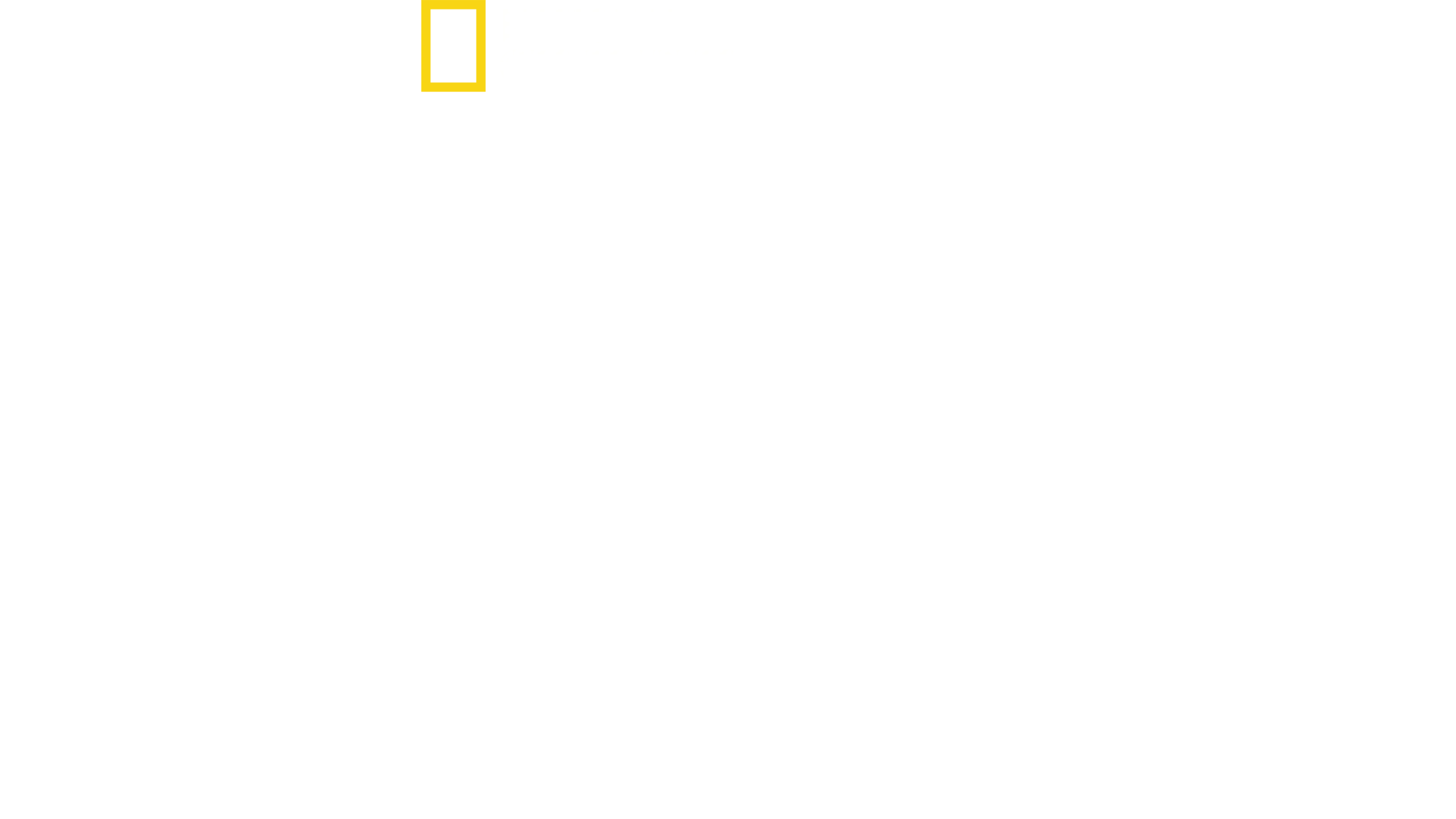 Schlagzeilen gegen Hitler
