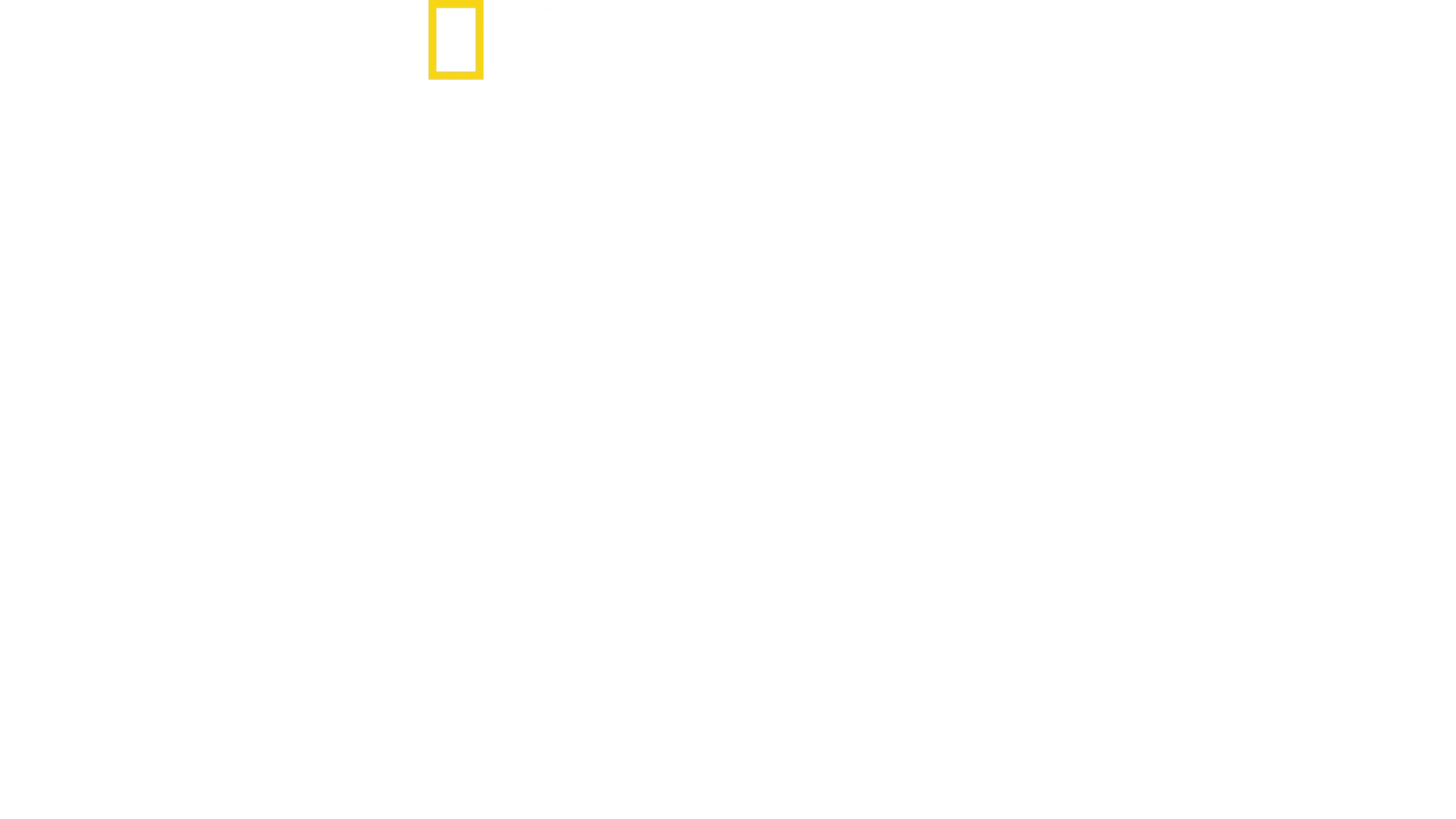 Hitler vastaan lehdistö