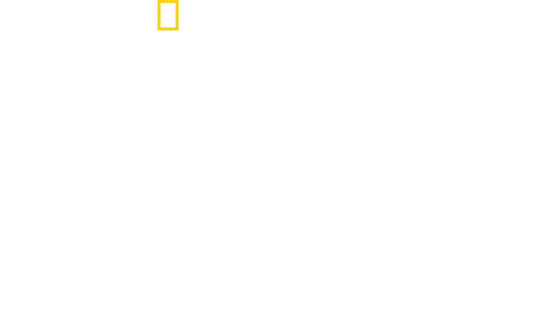 Hitlers kamp mot pressen
