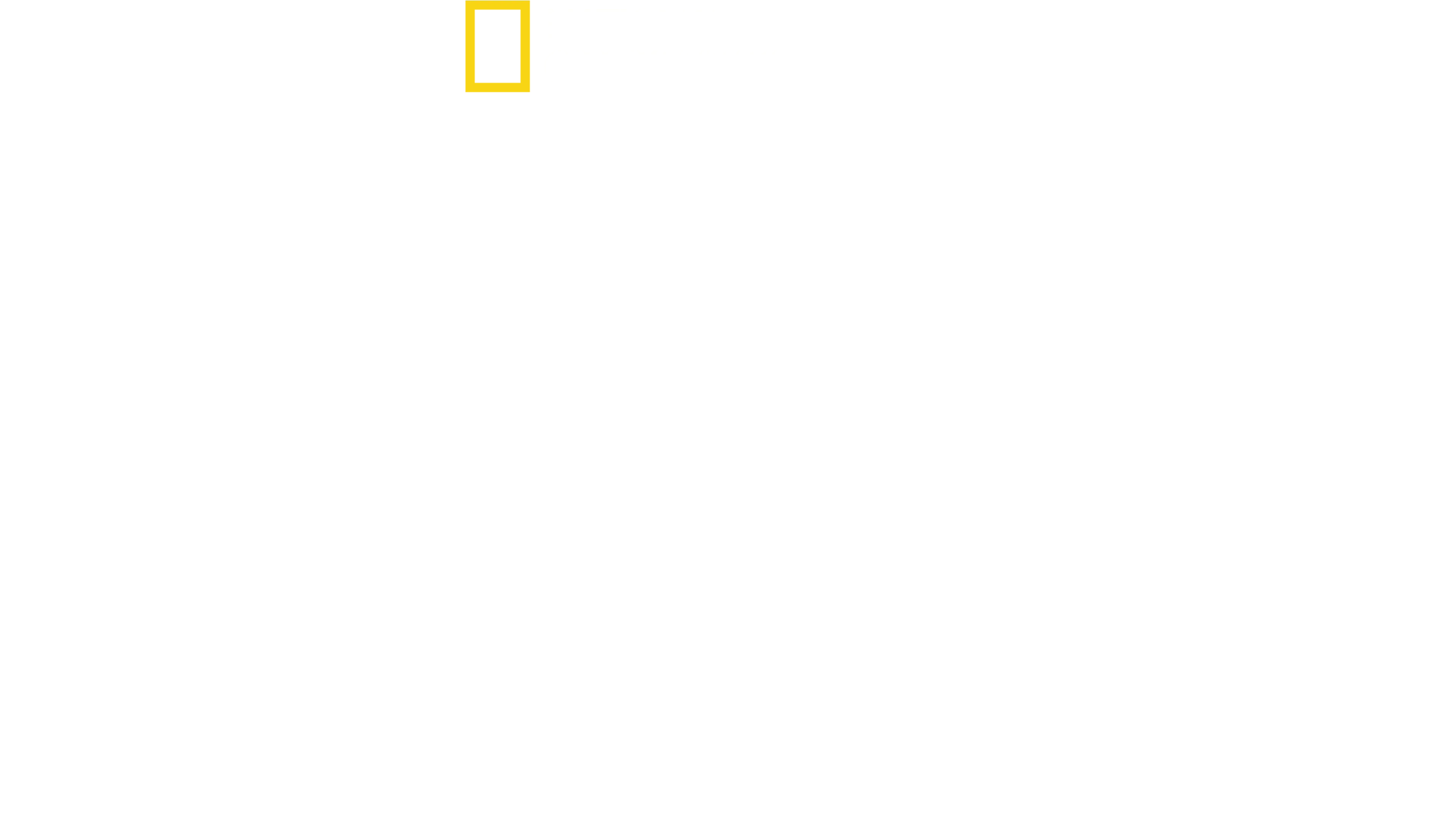 Hitler’s Battle Against The Press