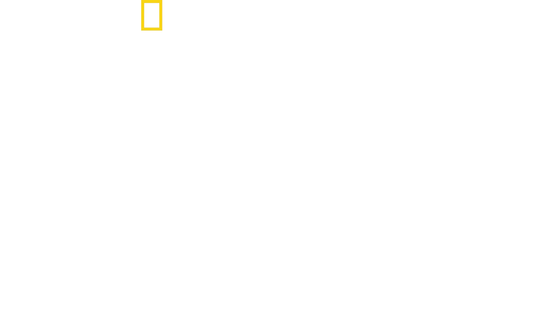 Hitler: Guerra alla stampa