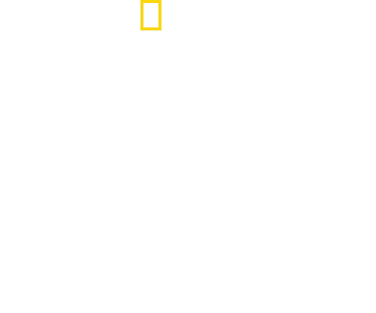 Hitler: Guerra alla stampa