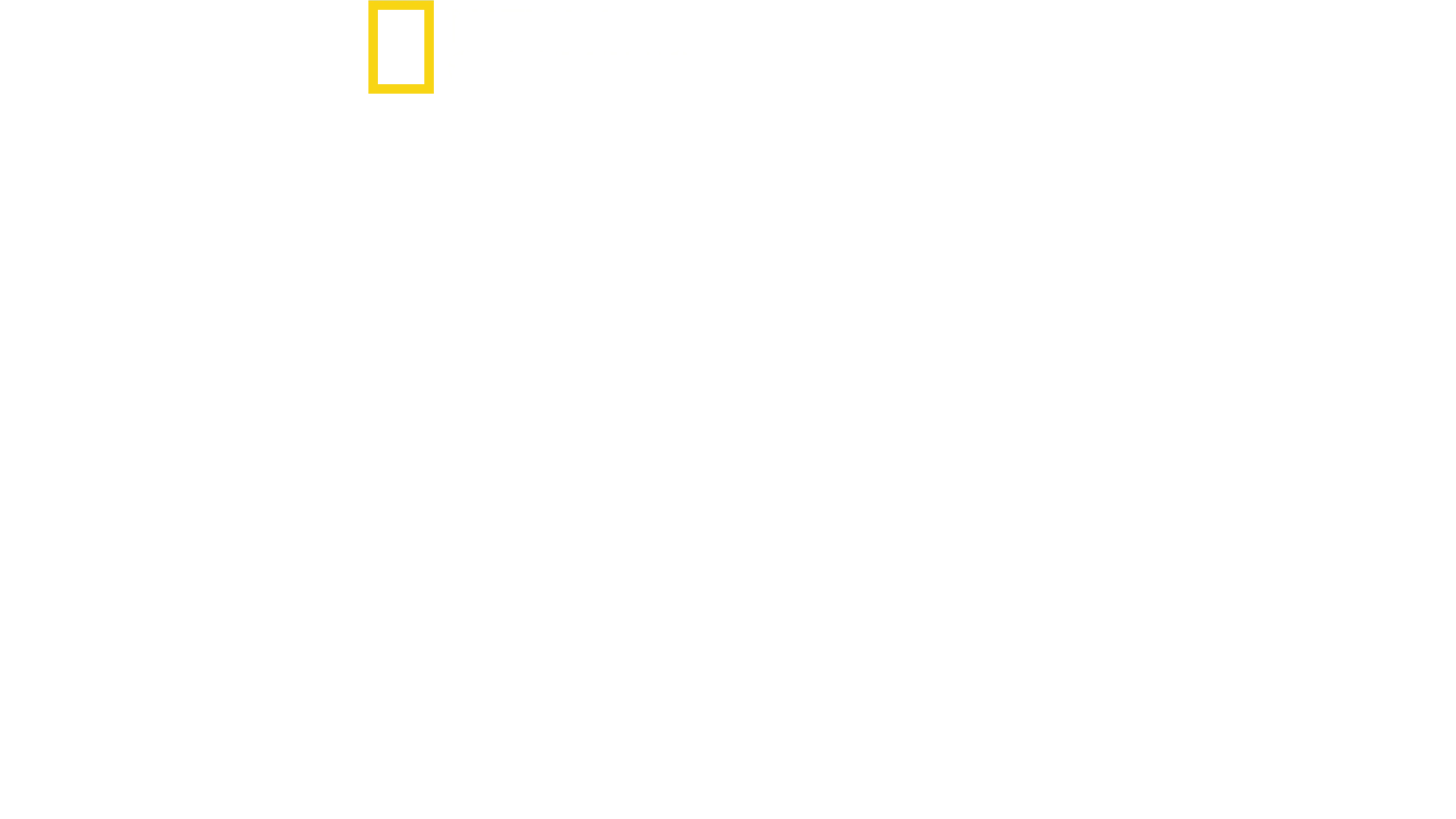 Hitler'in Basın Savaşı