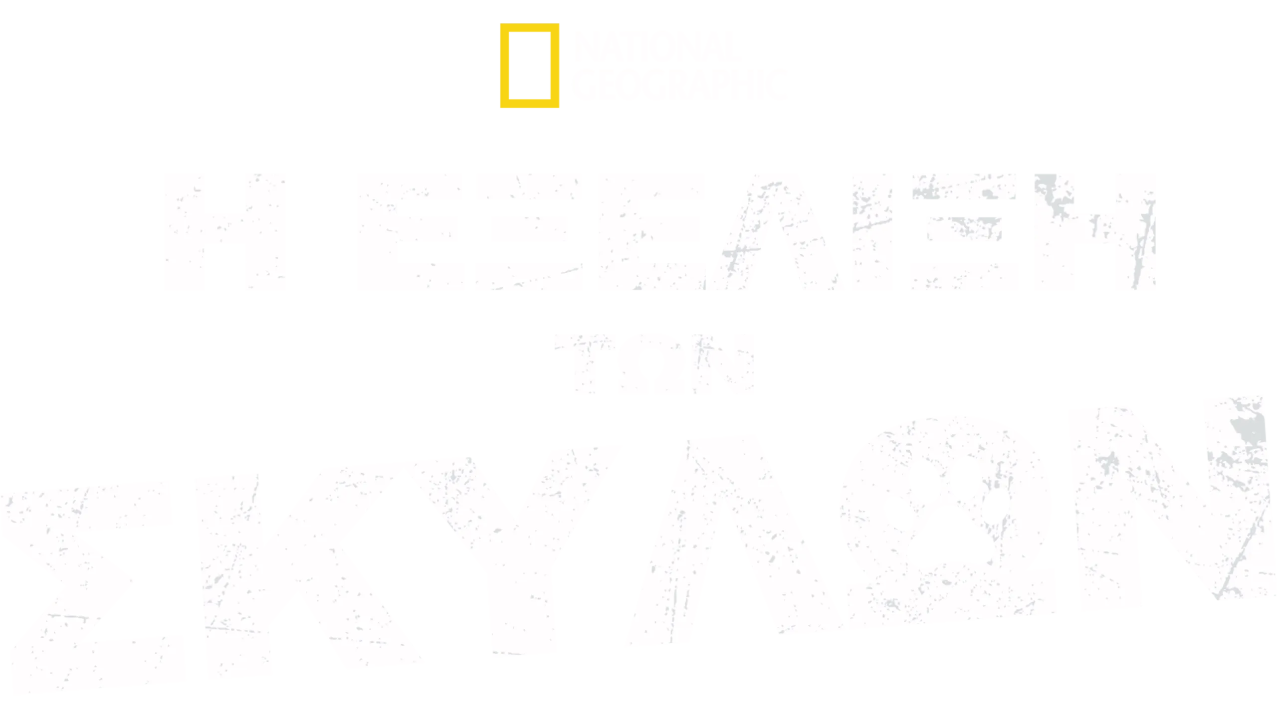 Η Εξέλιξη των Σκύλων