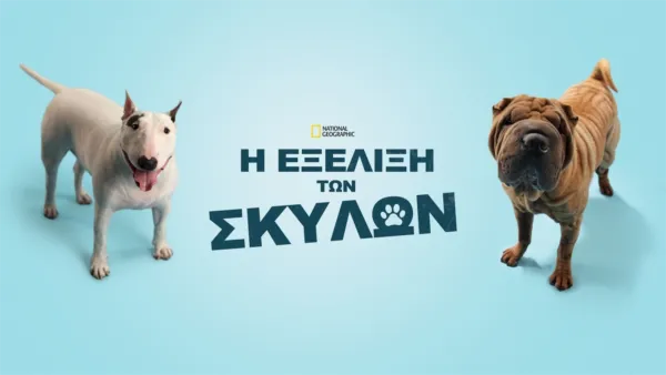 thumbnail - Η Εξέλιξη των Σκύλων