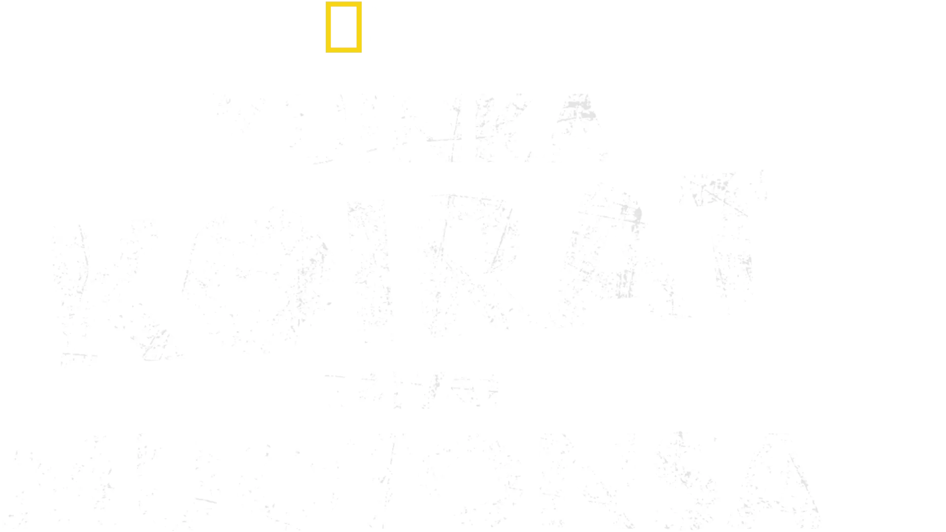 Kuinka koirat saivat muotonsa