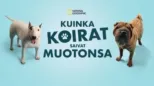 thumbnail - Kuinka koirat saivat muotonsa