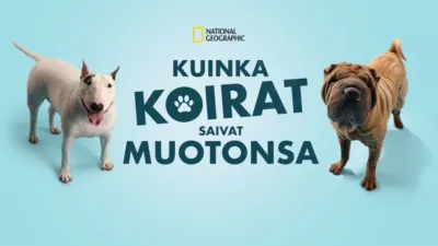 Kuinka koirat saivat muotonsa