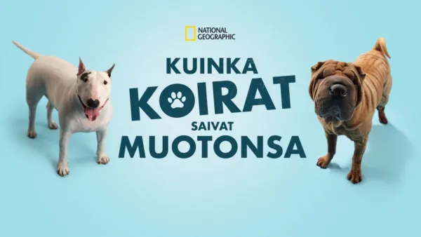 thumbnail - Kuinka koirat saivat muotonsa