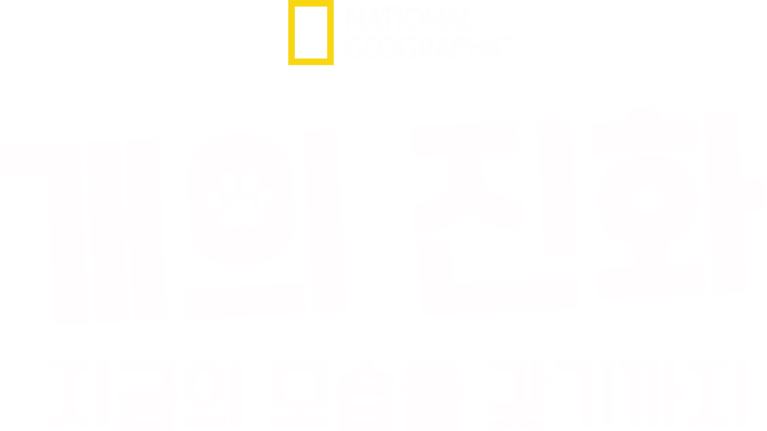 개의 진화: 지금의 모습을 갖기까지