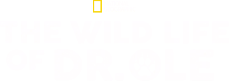 The Wild Life of Dr. Ole