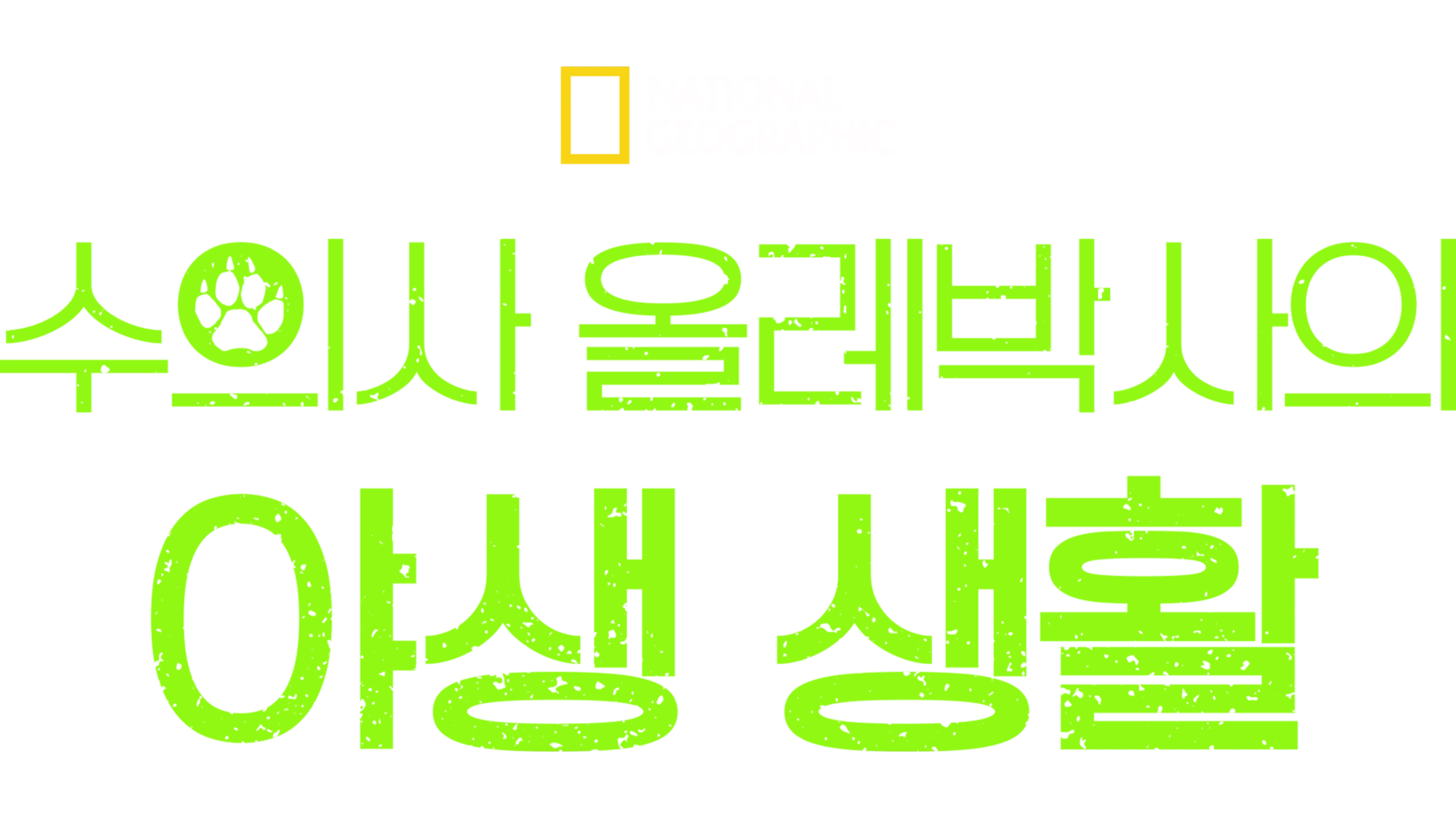 수의사 올레박사의 야생 생활