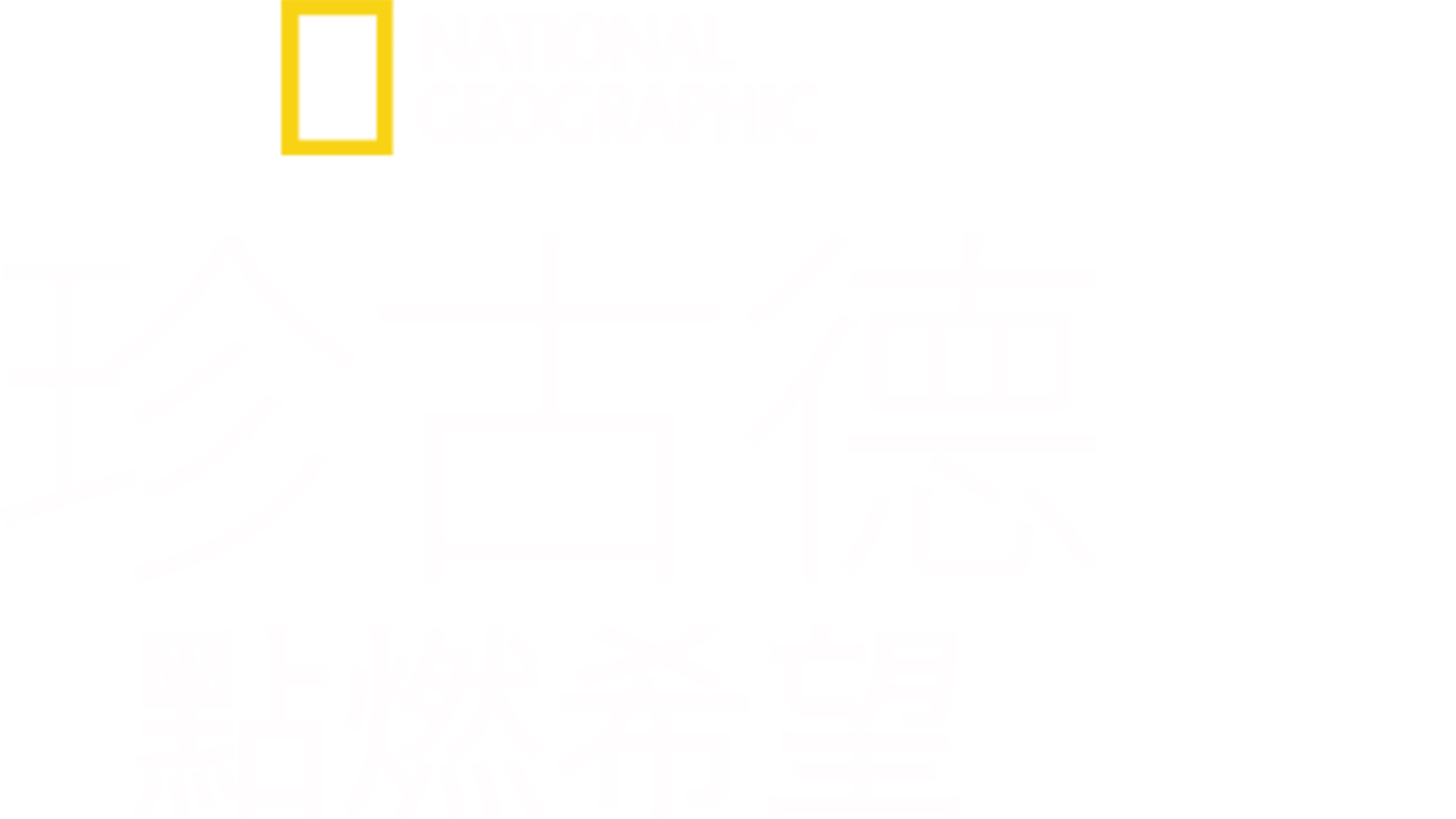 珍古德：點燃希望