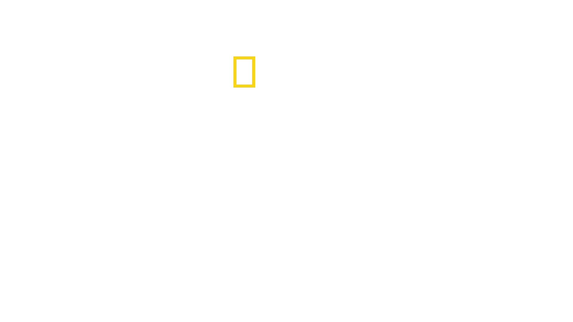 The Cave