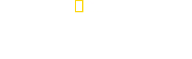 ザ・ケーブ
