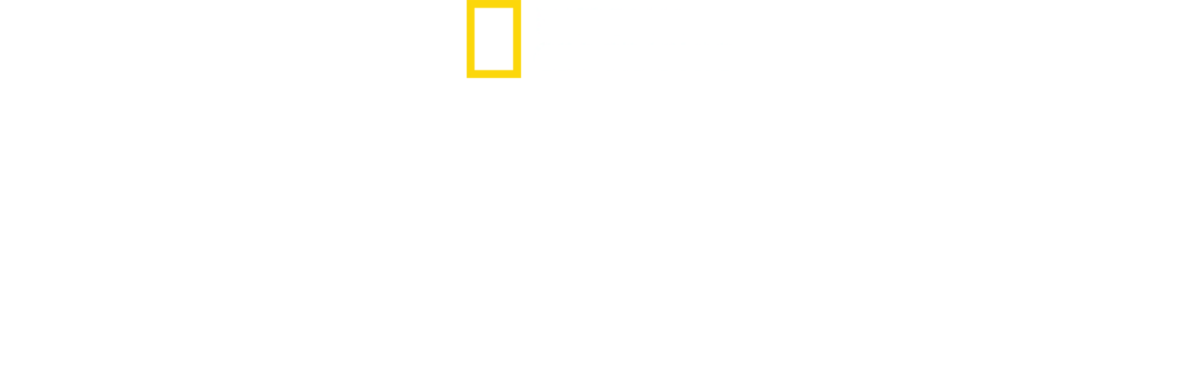 ザ・ケーブ