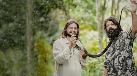 Buscadores de cobras