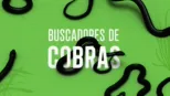 thumbnail - Buscadores de cobras