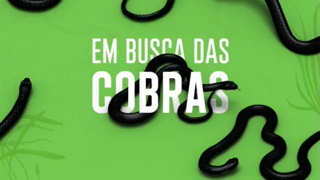thumbnail - Rato, Vini and Snakes